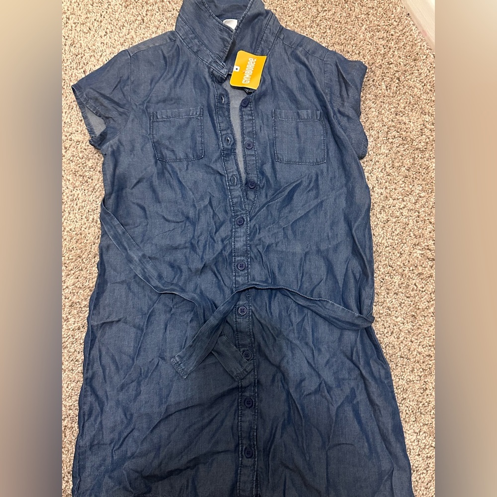 Gymboree dress